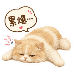 貓在敷衍你1