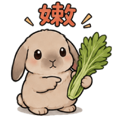 可愛西施犬與垂耳兔 - 垂耳兔篇