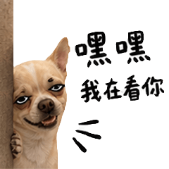 WaWaJiWaWa