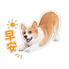 莫莫莫～莫米醬