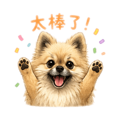默默與我的日常
