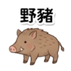 遇見山林動物