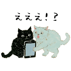 Colorful Cats Everyday Days