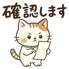 Receipt Tidy Cat Money Notes