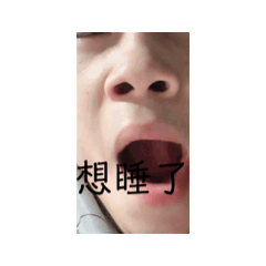罵罵罵罵皓