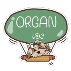 ORGAN love dog V.1 e