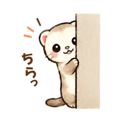 Cute Ferret Life2