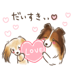 choco&shiki