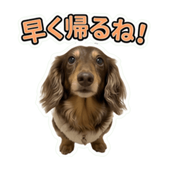 coconut_20260619120233