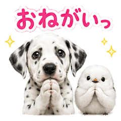 Dalmatian and Shimaenaga Stickers