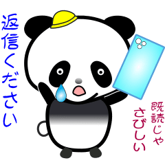 nobobi Panda, panda