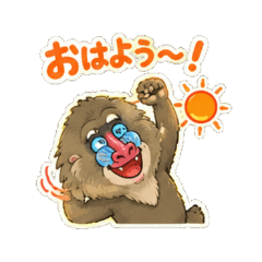 Gelada baboon - Daily Chat Stickers