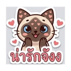 Nuea_20260615105034