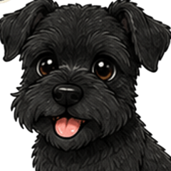 Everyday Miniature Schnauzer (Black)