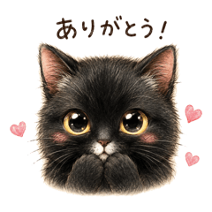yuko_20260621082318