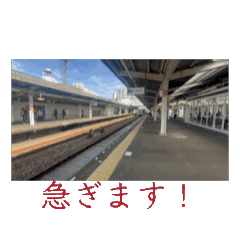 KAKAMA-JP_20260625123126