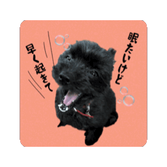 YUNPY_20260625102146
