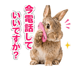 RAM_20260625120136