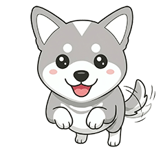 old shiba dog SILVA