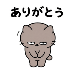 Guttari CatThanks & Sorry