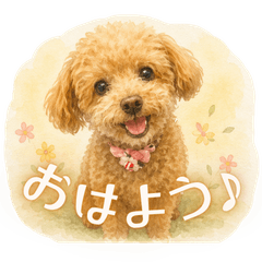 Cute Toy Poodle by mgoodjob
