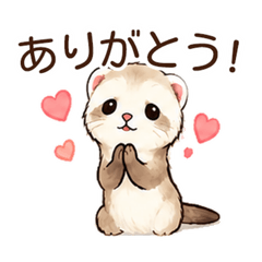 Cute Ferret Life4