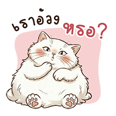 Chubby White Kitty & Little Mouse Buddy