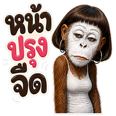 ลูซี่ ลิงสวยเเริ่ด