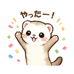 Cute Ferret Life1