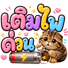 แมวน้อย หมดไฟ