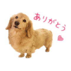 kousuke_20260617000631