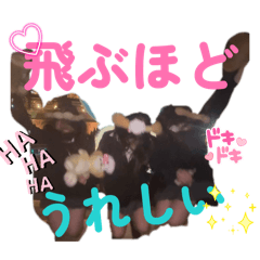h_20260617001246