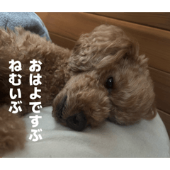 Mugi_20260617002857