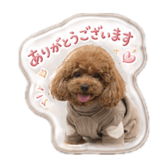 monami_20260617082149