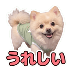 hi style_20260617082125