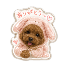 monami_20260617082037