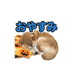 yuka_20260617095748