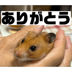 miyuu_20260617101122