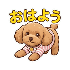hana_20260617102521