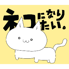 neko_20260617112700