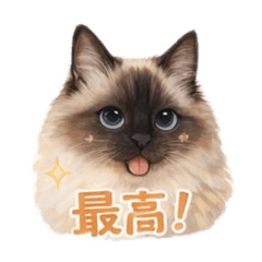 mai_20260617115623