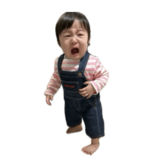 nori_20260617121036