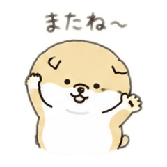 initial_20260617123817