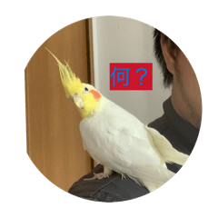 9_20260617122643