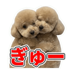 kiyochan_20260617124358