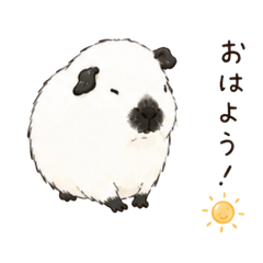 FUYU_20260617124358