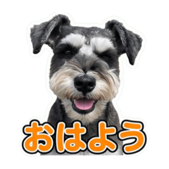 takayuki_20260617124311