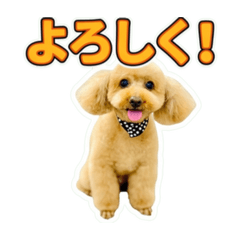 Kazuo_20260617124546