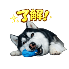 saya_20260617130314
