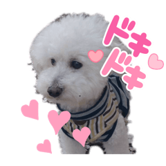 qoo_20260617130347